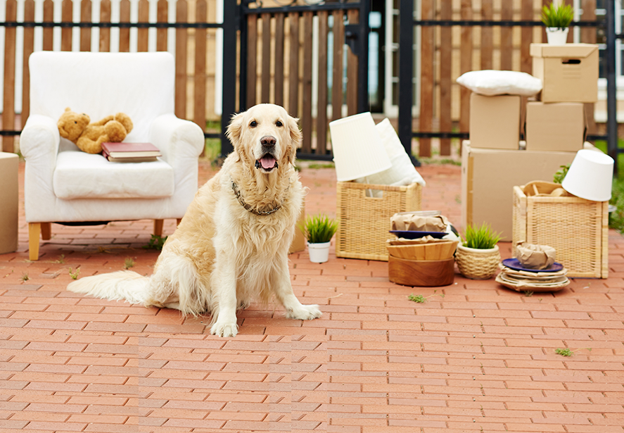 Relocation Services